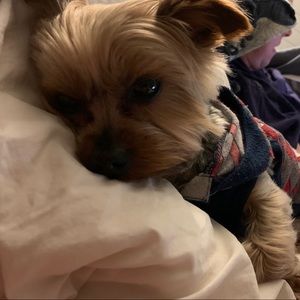 Meet your Posher, Robert